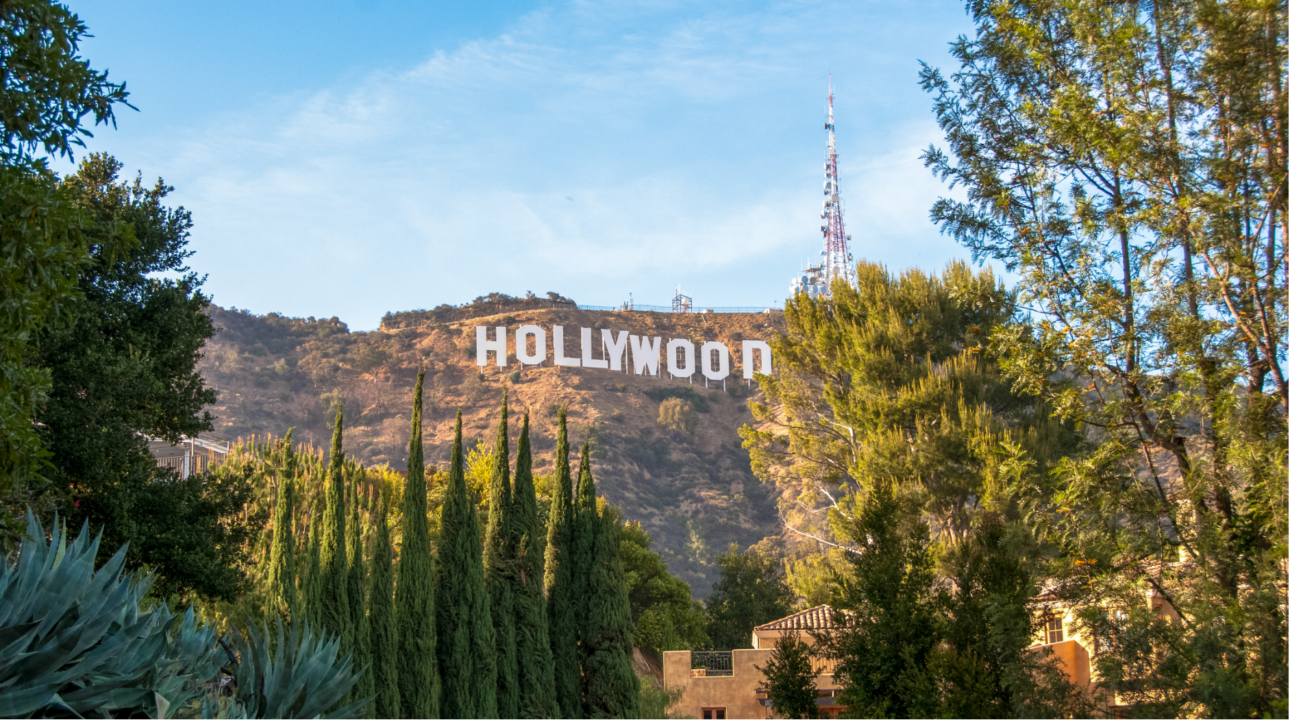 Journal de bord d’un cinéphile non repenti
