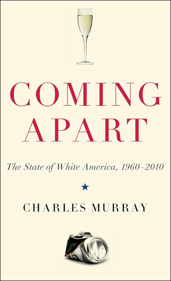 Les bobos ou la nouvelle élite américaine
