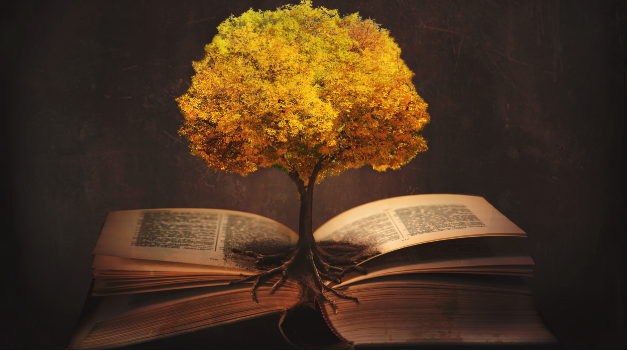 <i>Laudato si’</i> : perplexités
