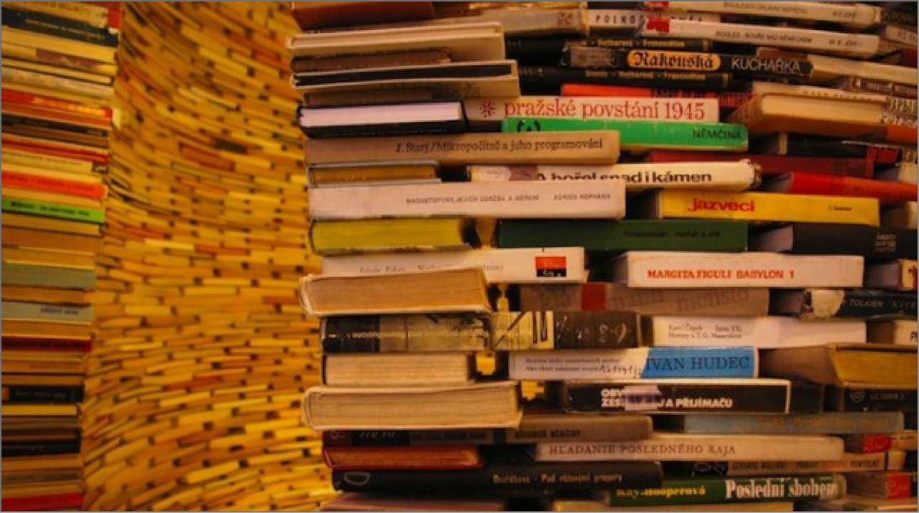 Ce que lire veut dire
