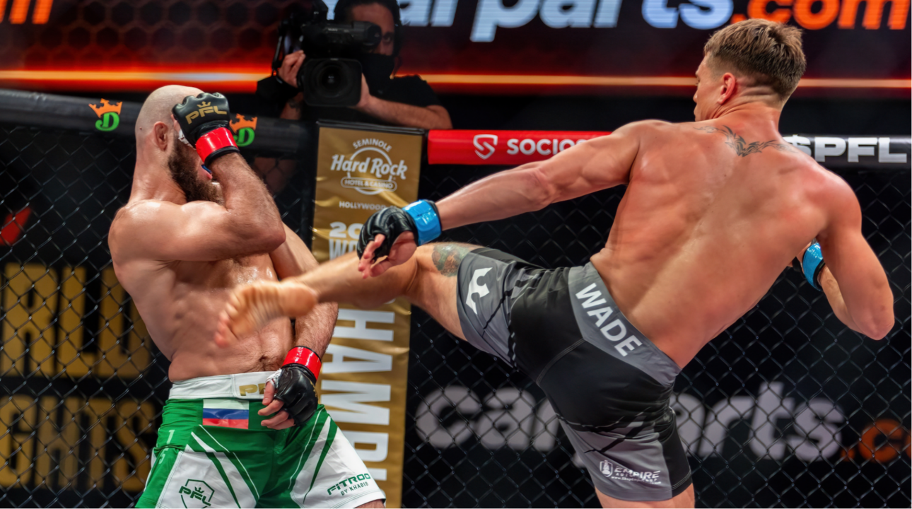 Le <i>mixed martial arts</i>, miroir de notre époque ?
