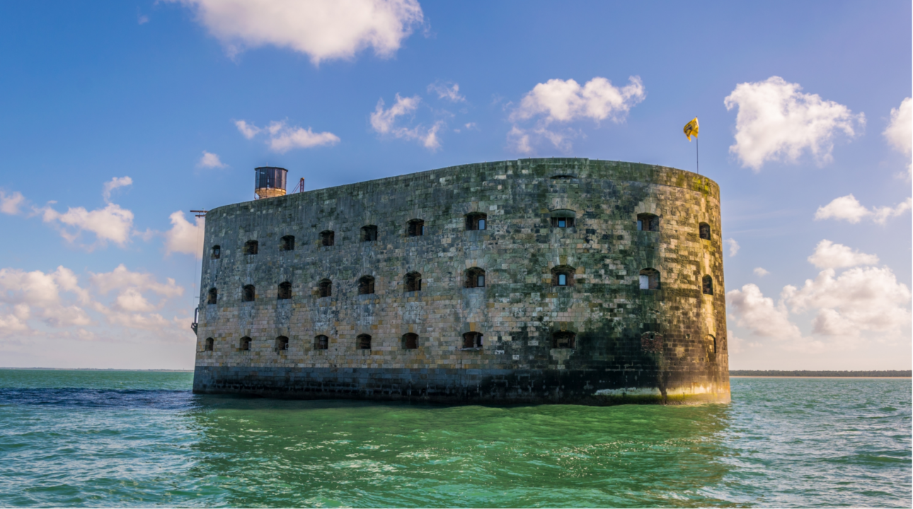 L’épigénétique de la création audiovisuelle
