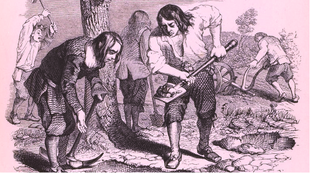 Fiscalité de l’héritage : le pari de la jeunesse
